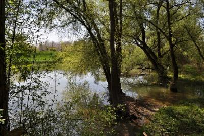 Весна на реке. Автор: Валерий Афанасьев