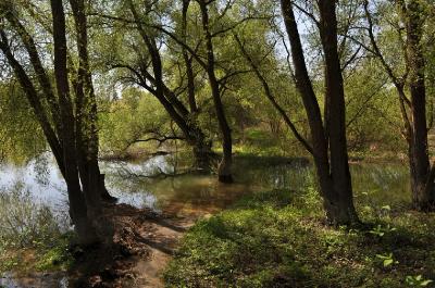 Весна на реке. Автор: Валерий Афанасьев