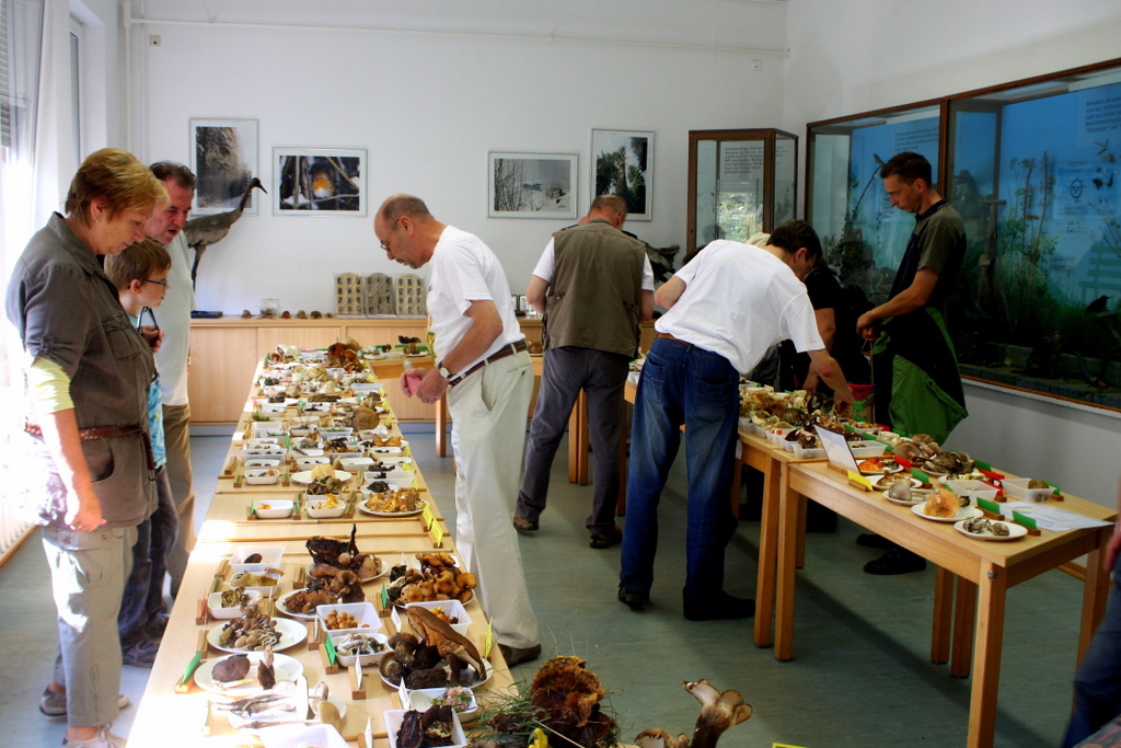 Выставка любителей грибов. Автор фото: Йохан Метте