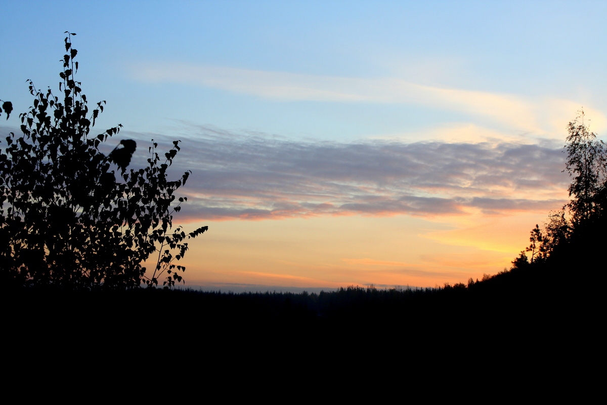 Осеннее утрo. Автор фото: Йохан Метте
