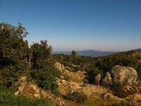 Афон, ГрецияКамни на горе - 2
