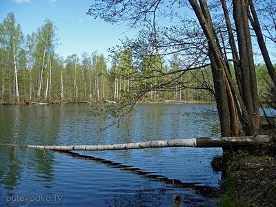 Озерцо без названия. Автор: Наталия Панкова