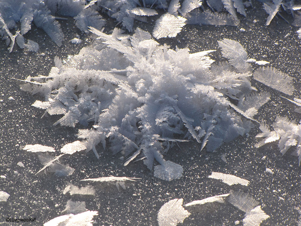 ледяная "Хризантема". Автор фото: Константин Ширяев