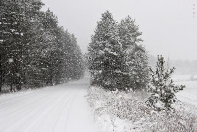 Зимний пейзаж. Автор: Байбекова Светлана