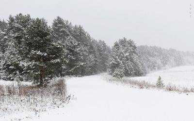Зимний пейзаж Автор: Байбекова Светлана
