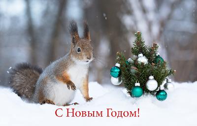 С Новым Годом! Автор: Байбекова Светлана