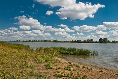 Ерик перекатный астрахань дачи карта