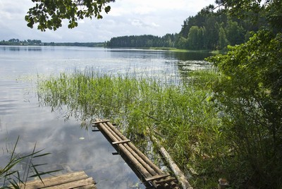Чеполшевское озеро. Автор: Вячеслав Степанов