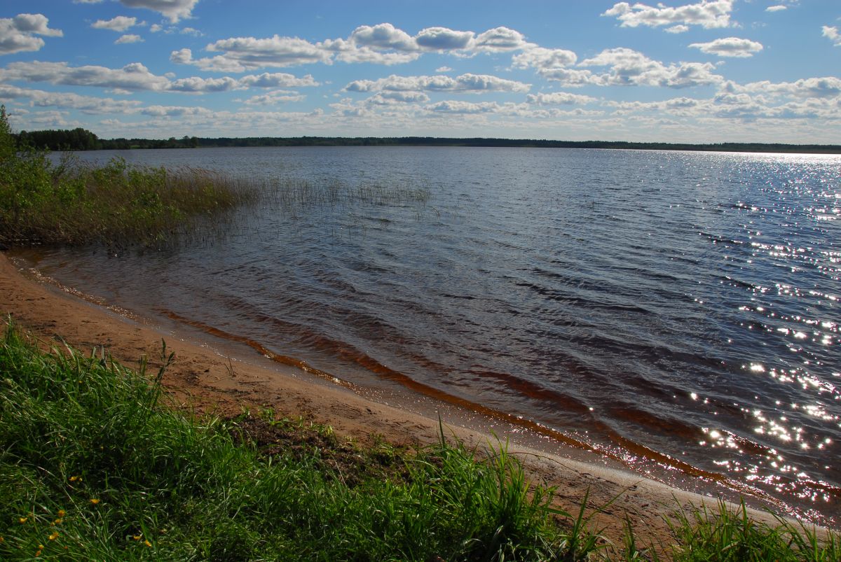 Озеро Тихмень Тверской области. Автор фото: Вячеслав Степанов