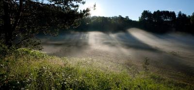 Туман в лучах Солнца. Автор: Фотоконкурс ЛЕТО-ОСЕНЬ