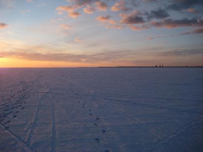 Закат на Финском заливе. Автор: Конкурс Зима