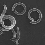 Червец крапивный (Orthezia urticae), восковые нанотрубки, x28920; фото Андрея Смирнова